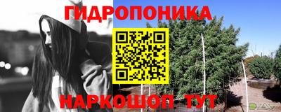 ALPHA PVP Будённовск
