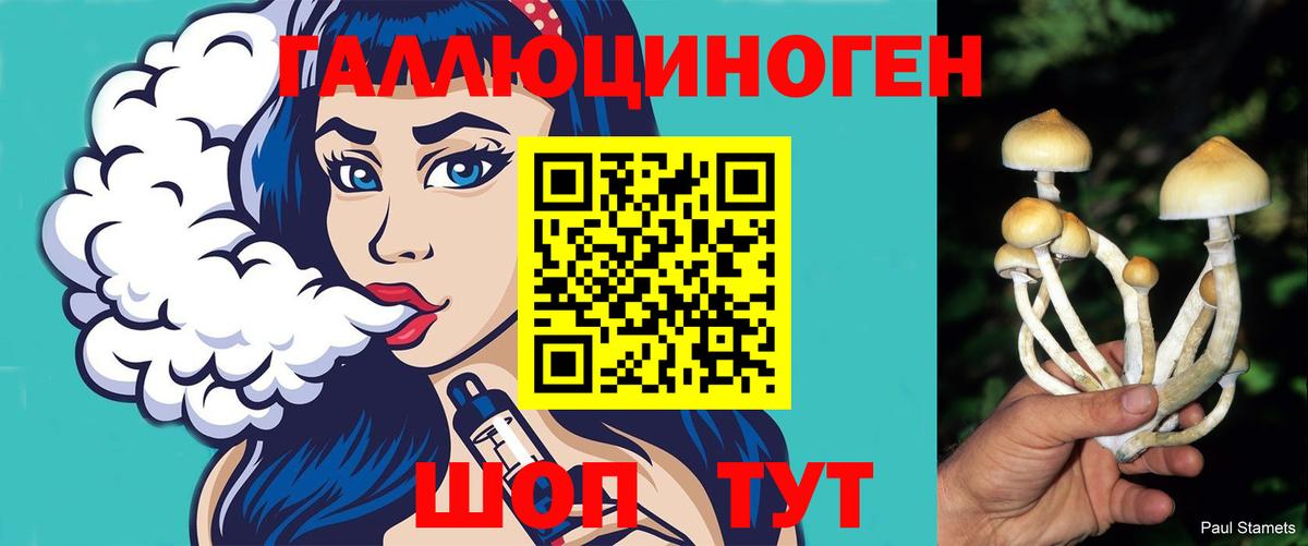 Сокол  Галлюциногенные грибы Psilocybine cubensis  Вход с VPN 